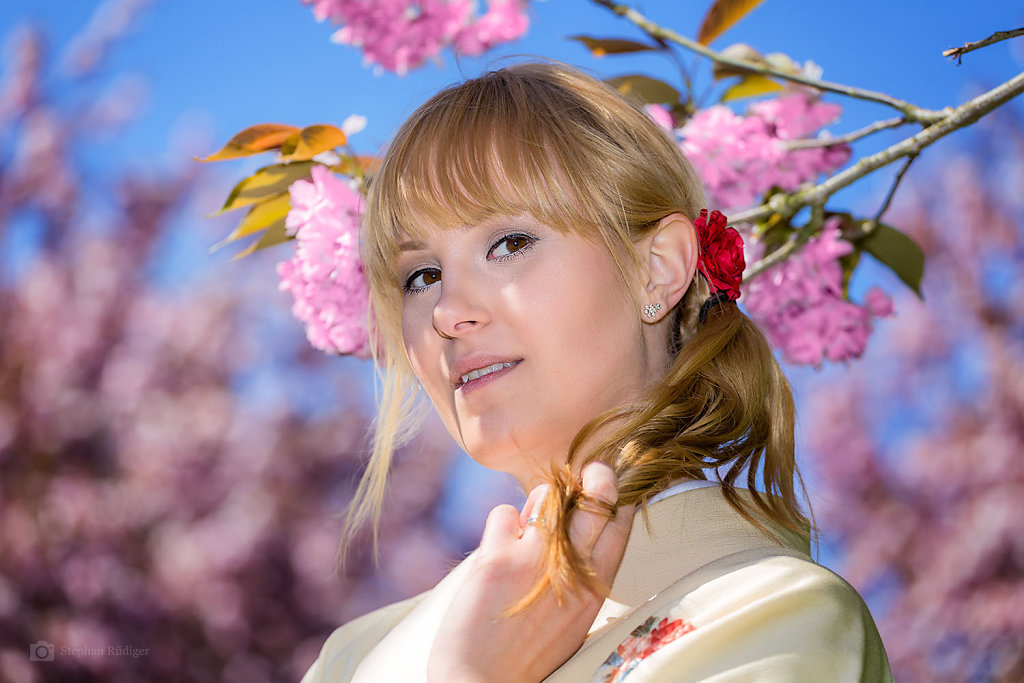 Japanisches -Kirschblütenfest